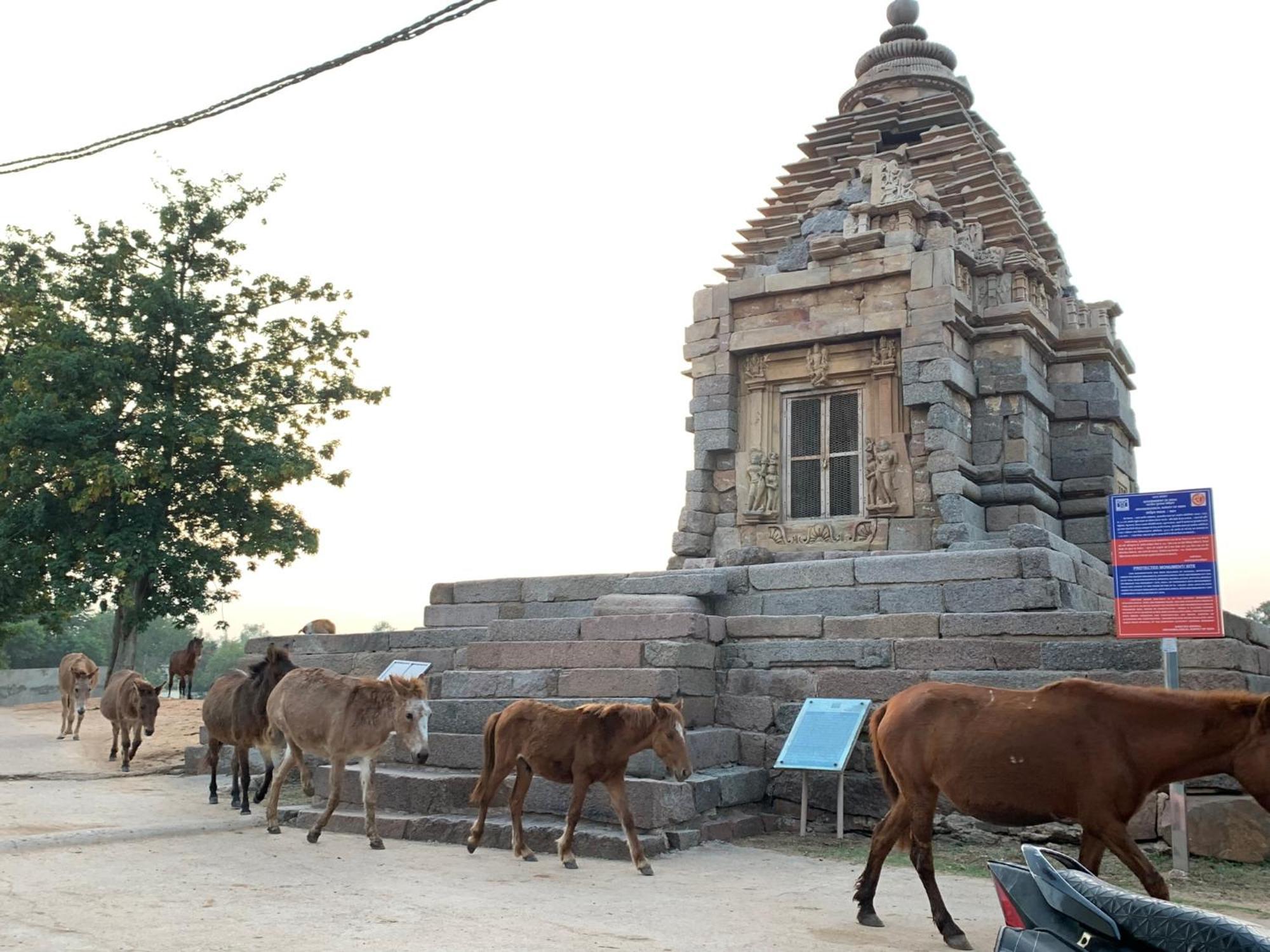 Friends In Khajuraho Lejlighed Eksteriør billede